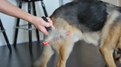 Furminator за кучета: как да изберем подходящия инструмент за грижи за любимия си домашен любимец